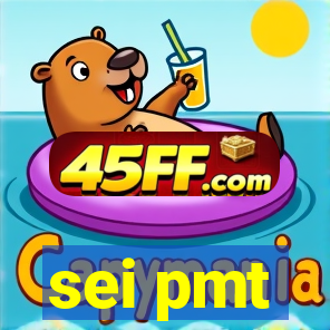 sei pmt
